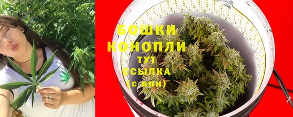 альфа пвп Заводоуковск