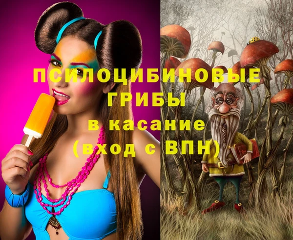 альфа пвп Заводоуковск