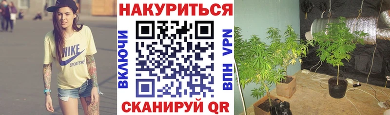 Купить  Зеленоградск  МАРИХУАНА семена 